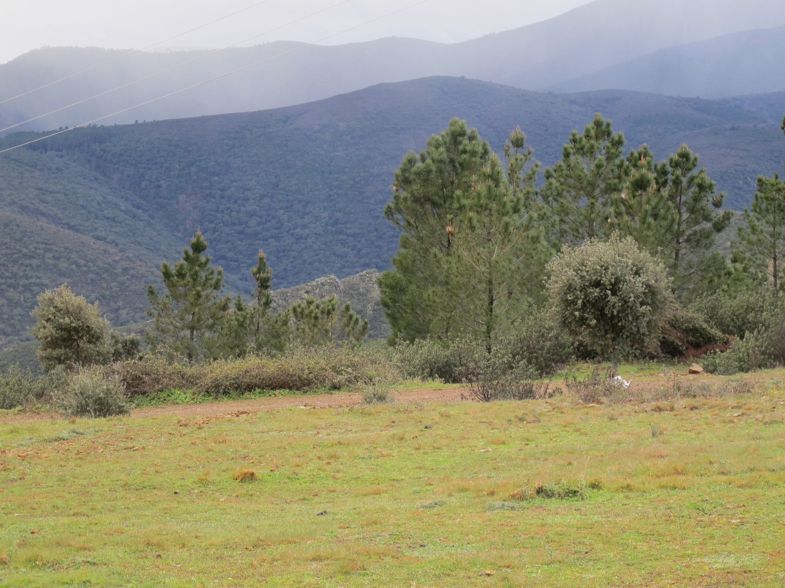 Picnic La Mata